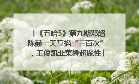 《五哈5》第九期邓超陈赫一天互掐“三百次”，王俊凯韭菜舞超魔性