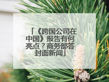 《跨国公司在中国》报告有何亮点？商务部答封面新闻