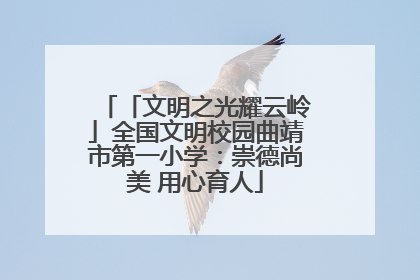 「文明之光耀云岭」全国文明校园曲靖市第一小学：崇德尚美 用心育人