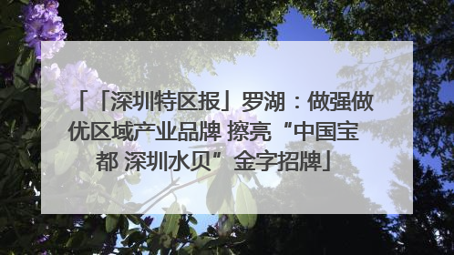 「深圳特区报」罗湖：做强做优区域产业品牌 擦亮“中国宝都 深圳水贝”金字招牌