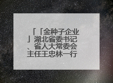「金种子企业」湖北省委书记、省人大常委会主任王忠林一行到依瑞德调研