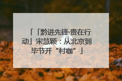「黔进先锋·贵在行动」宋慧颖：从北京到毕节开“村咖”