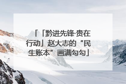 「黔进先锋·贵在行动」赵大志的“民生账本”画满勾勾