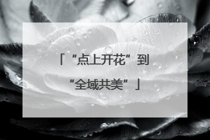 “点上开花”到“全域共美”