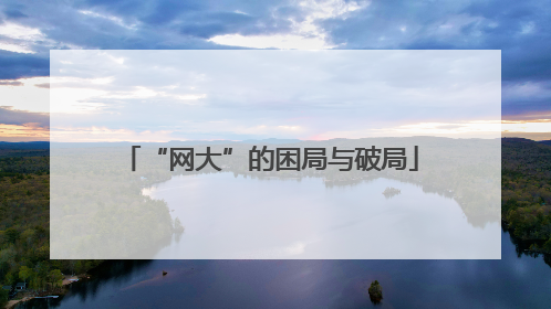 “网大”的困局与破局
