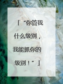 “你管我什么级别，我能抓你的级别！”