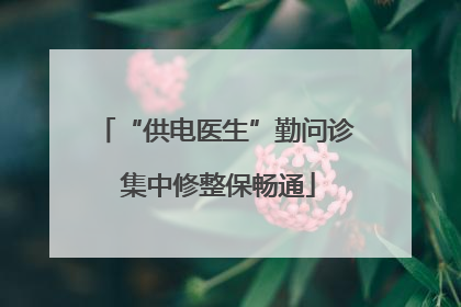 “供电医生”勤问诊 集中修整保畅通