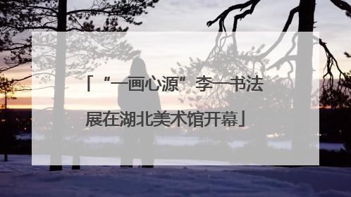 “一画心源”李一书法展在湖北美术馆开幕