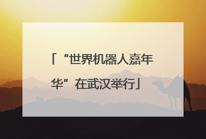 “世界机器人嘉年华”在武汉举行
