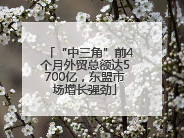 “中三角”前4个月外贸总额达5700亿，东盟市场增长强劲
