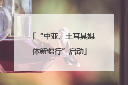 “中亚、土耳其媒体新疆行”启动
