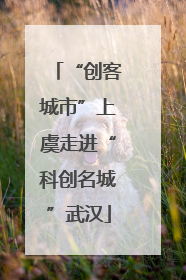 “创客城市”上虞走进“科创名城”武汉