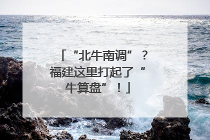 “北牛南调”？福建这里打起了“牛算盘”！