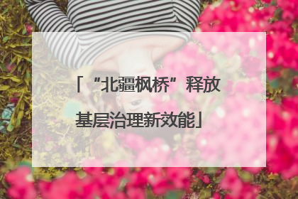 “北疆枫桥”释放基层治理新效能