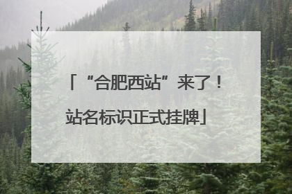 “合肥西站”来了！站名标识正式挂牌