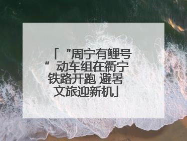 “周宁有鲤号”动车组在衢宁铁路开跑 避暑文旅迎新机