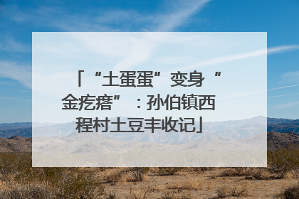 “土蛋蛋”变身“金疙瘩”：孙伯镇西程村土豆丰收记