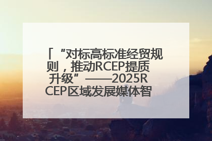 “对标高标准经贸规则，推动RCEP提质升级”——2025RCEP区域发展媒体智库论坛举行专题对话
