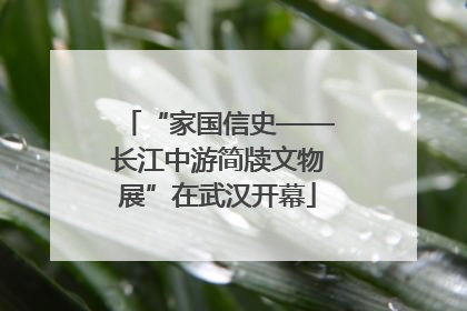 “家国信史——长江中游简牍文物展”在武汉开幕