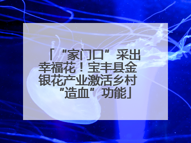 “家门口”采出幸福花！宝丰县金银花产业激活乡村“造血”功能