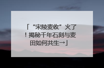 “宋陵麦收”火了！揭秘千年石刻与麦田如何共生→