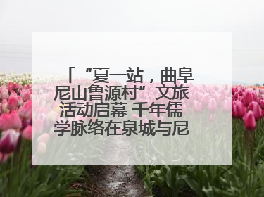 “夏一站，曲阜尼山鲁源村”文旅活动启幕 千年儒学脉络在泉城与尼山间流动
