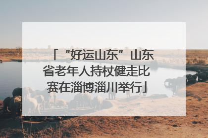 “好运山东”山东省老年人持杖健走比赛在淄博淄川举行