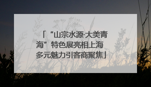 “山宗水源·大美青海”特色展亮相上海 多元魅力引客商聚焦
