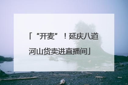 “开麦”！延庆八道河山货卖进直播间