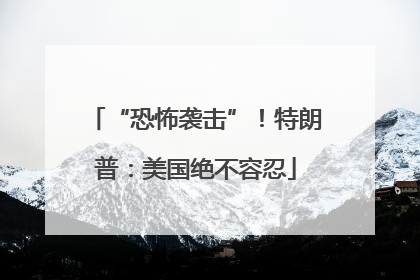 “恐怖袭击”！特朗普：美国绝不容忍