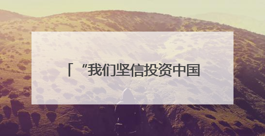 “我们坚信投资中国的决策完全正确”（见证·中国机遇）