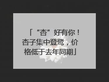 “杏”好有你！杏子集中登鹭，价格低于去年同期