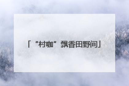 “村咖”飘香田野间