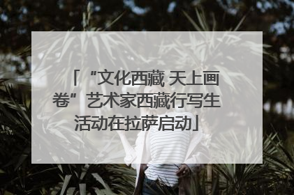 “文化西藏 天上画卷”艺术家西藏行写生活动在拉萨启动