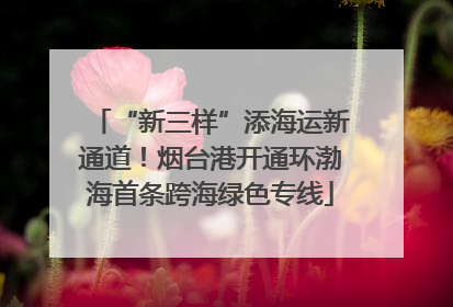 “新三样”添海运新通道！烟台港开通环渤海首条跨海绿色专线