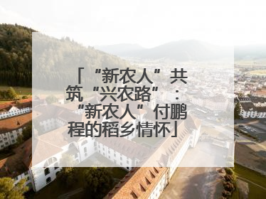 “新农人”共筑“兴农路”：“新农人”付鹏程的稻乡情怀