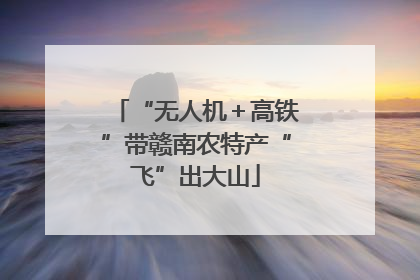 “无人机＋高铁”带赣南农特产“飞”出大山