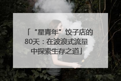“星青年”饺子店的80天：在波浪式流量中探索生存之道