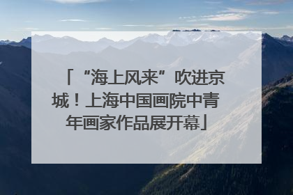“海上风来”吹进京城！上海中国画院中青年画家作品展开幕