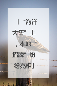 “海洋大集”上，本地“招牌”纷纷亮相
