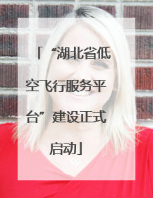 “湖北省低空飞行服务平台”建设正式启动