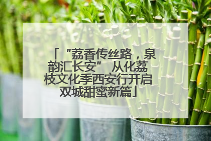 “荔香传丝路，泉韵汇长安” 从化荔枝文化季西安行开启双城甜蜜新篇