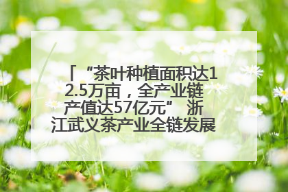 “茶叶种植面积达12.5万亩，全产业链产值达57亿元” 浙江武义茶产业全链发展“加速度”