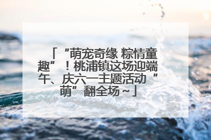 “萌宠奇缘 粽情童趣”！桃浦镇这场迎端午、庆六一主题活动“萌”翻全场～