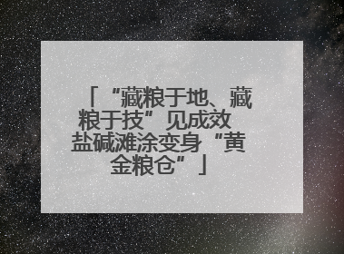 “藏粮于地、藏粮于技”见成效 盐碱滩涂变身“黄金粮仓”