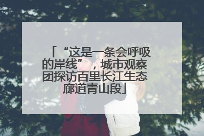 “这是一条会呼吸的岸线”，城市观察团探访百里长江生态廊道青山段