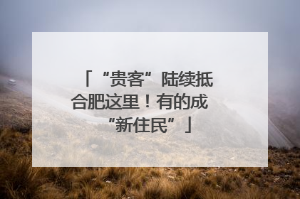 “贵客”陆续抵合肥这里！有的成“新住民”