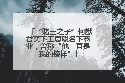 “赌王之子”何猷君买下王思聪名下商业，曾称“他一直是我的榜样”