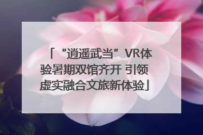 “逍遥武当”VR体验暑期双馆齐开 引领虚实融合文旅新体验