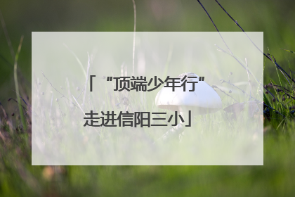 “顶端少年行”走进信阳三小